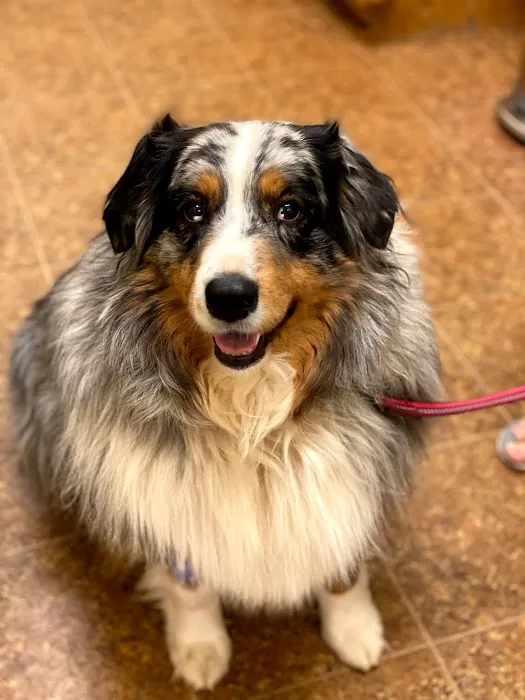 Paws of Hope Veterinary Clinic 10