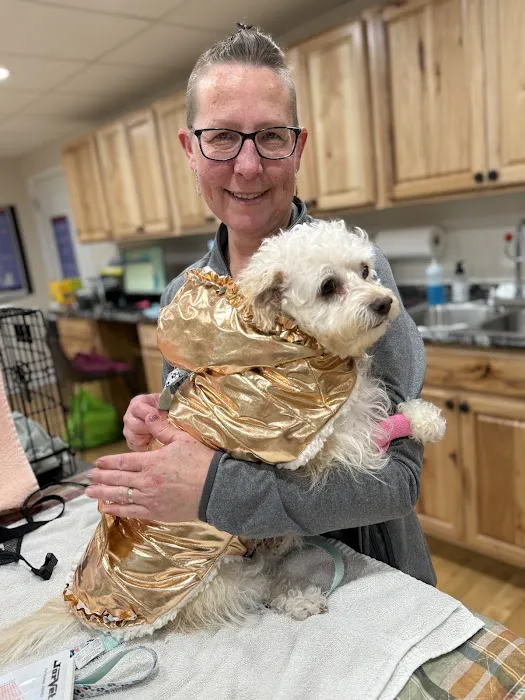 Paws of Hope Veterinary Clinic 7