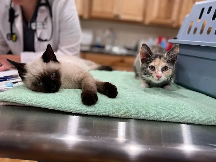 Paws of Hope Veterinary Clinic 4