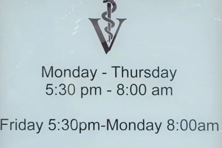 Animal hospital
