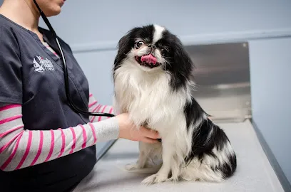 Airport Pet Emergency Clinic 12