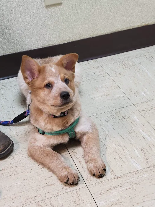 Ketron Veterinary Clinic, LLC 6