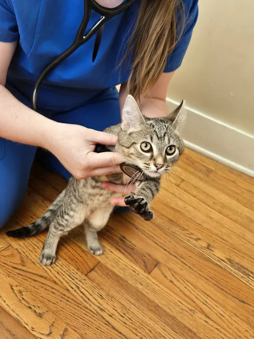 Robinson Animal Hospital: 12