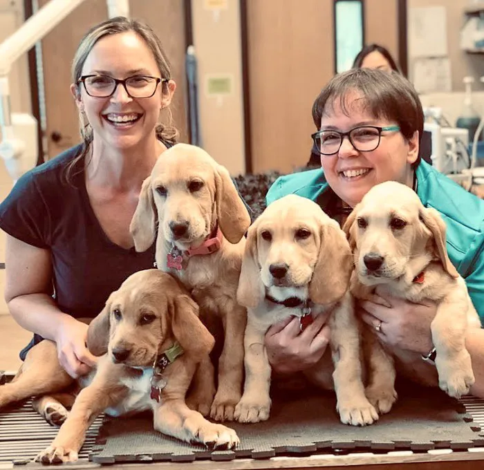 Fire Mountain Veterinary Hospital 6