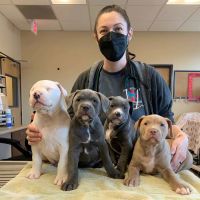 Fire Mountain Veterinary Hospital ico