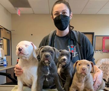 Fire Mountain Veterinary Hospital