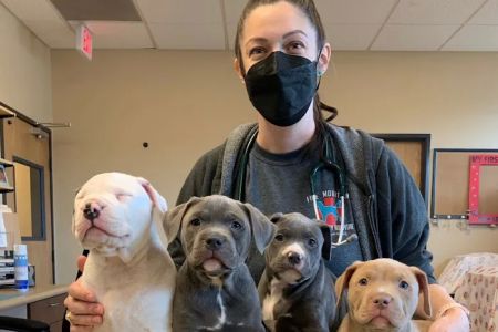 Fire Mountain Veterinary Hospital