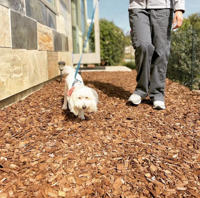 Fire Mountain Veterinary Hospital 7