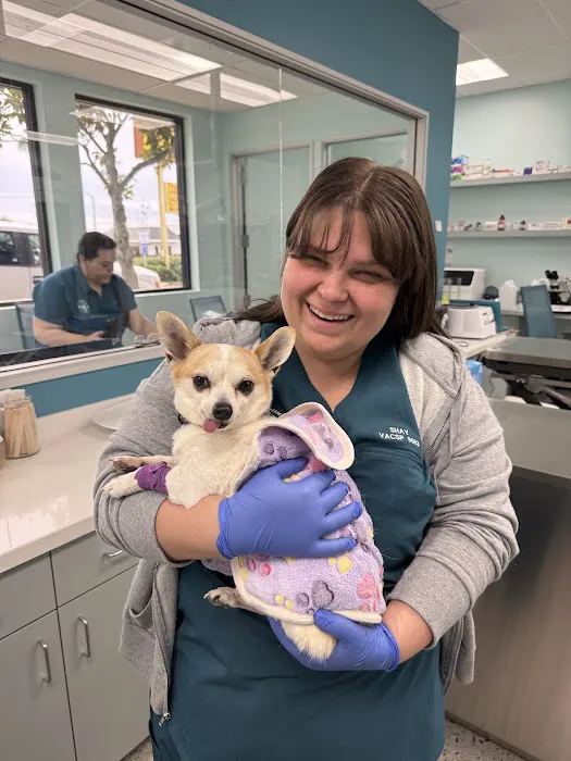 Lifeline Animal Urgent Care 12
