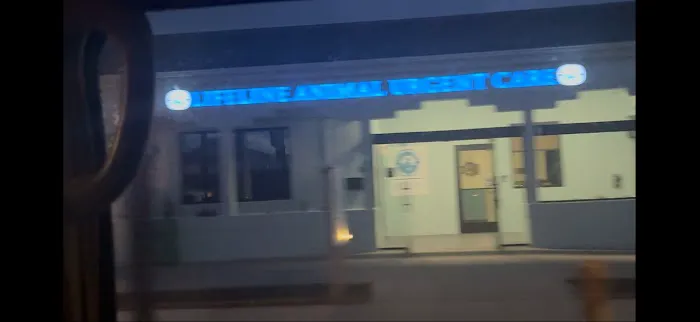 Lifeline Animal Urgent Care 12