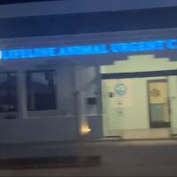 Lifeline Animal Urgent Care ico