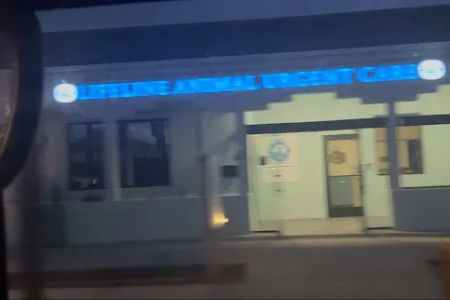 Lifeline Animal Urgent Care