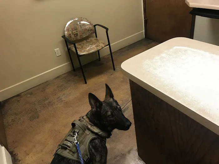 Alvarado Veterinary Hospital 9