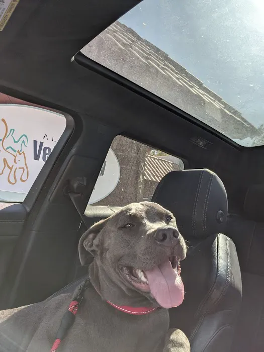 Alvarado Veterinary Hospital 4