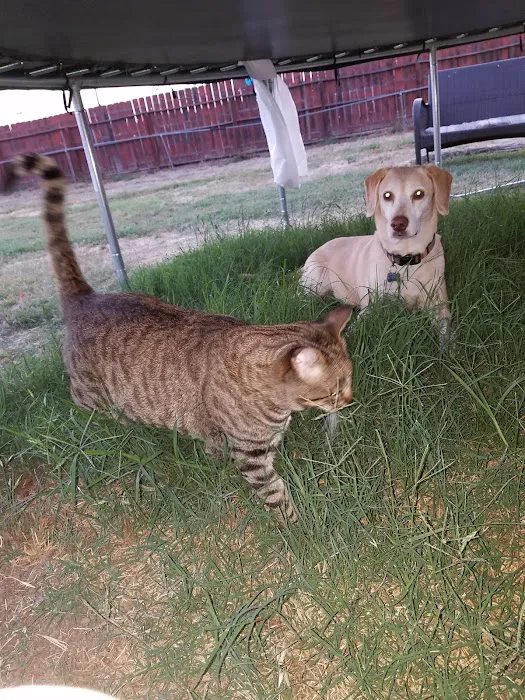 Alvarado Veterinary Hospital 7