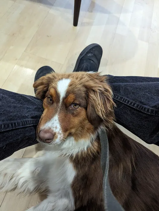 North Orange Veterinary Clinic 3