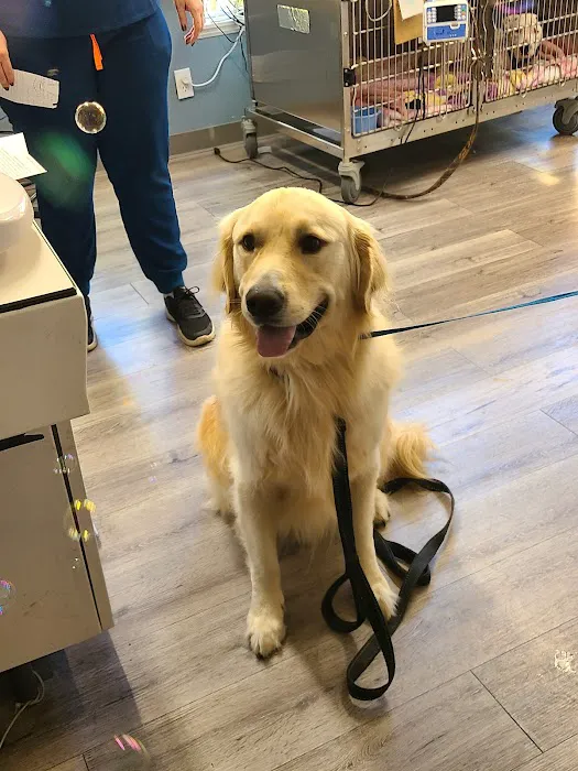 North Orange Veterinary Clinic 10