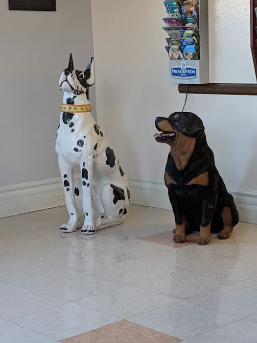 Avocado Animal Hospital-Fallbrook 6