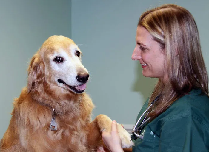 Park Animal Hospital 9