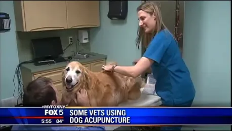 Park Animal Hospital 1