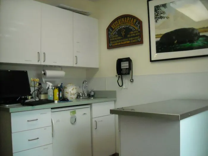 VCA Darien Animal Hospital 9