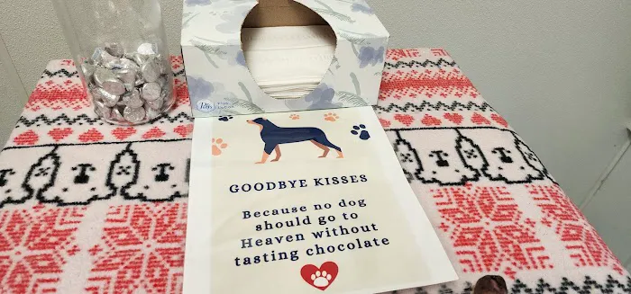 VCA Darien Animal Hospital 4