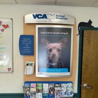 VCA Darien Animal Hospital ico