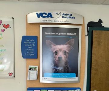VCA Darien Animal Hospital