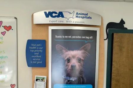 VCA Darien Animal Hospital