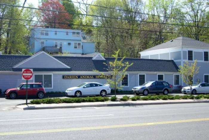 VCA Darien Animal Hospital 8