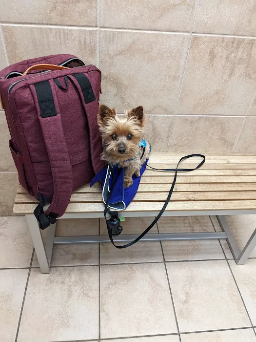 New Canaan Veterinary Hospital 8