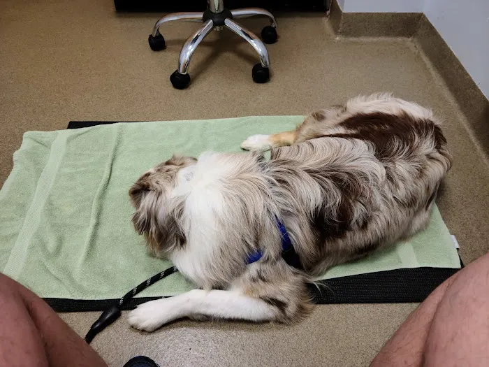 Smith Ridge Veterinary Center 12