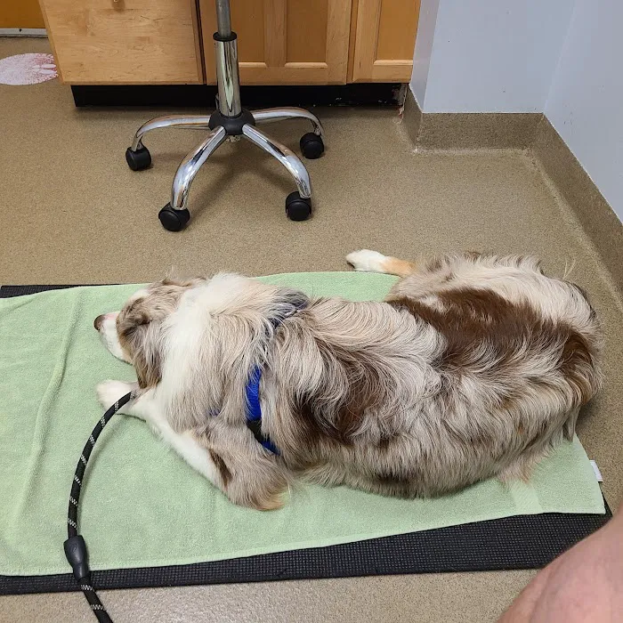 Smith Ridge Veterinary Center 12