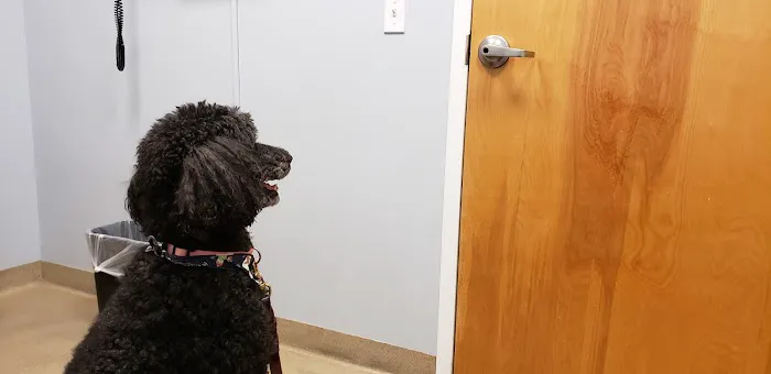 Smith Ridge Veterinary Center 12