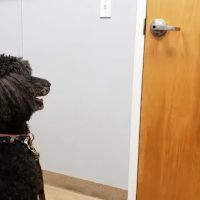 Smith Ridge Veterinary Center ico