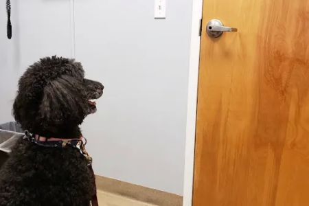 Smith Ridge Veterinary Center