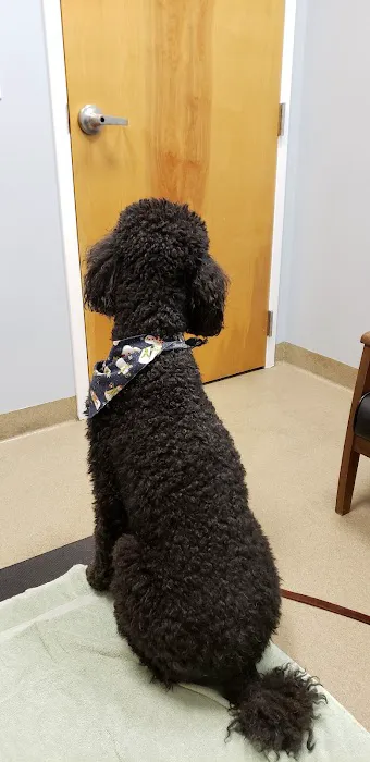 Smith Ridge Veterinary Center 12