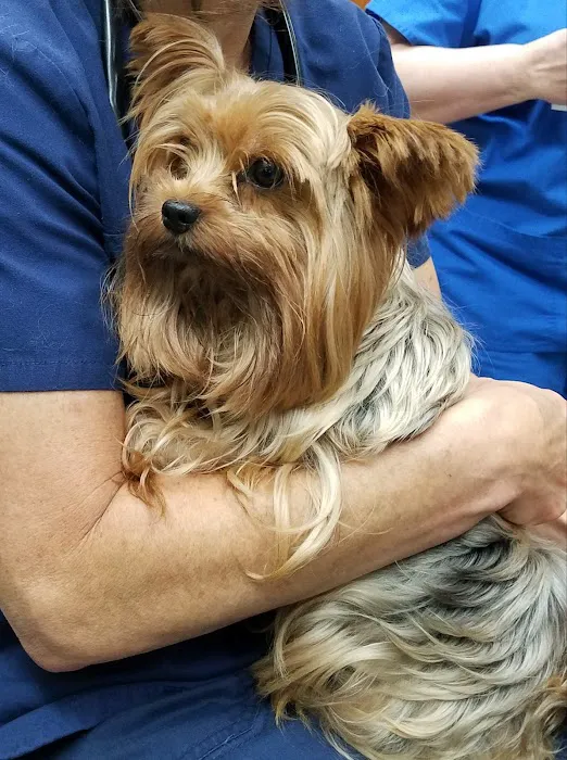 South Salem Animal Hospital 12