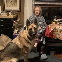South Salem Animal Hospital ico