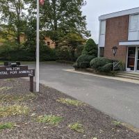 Wilton Hospital For Animals ico