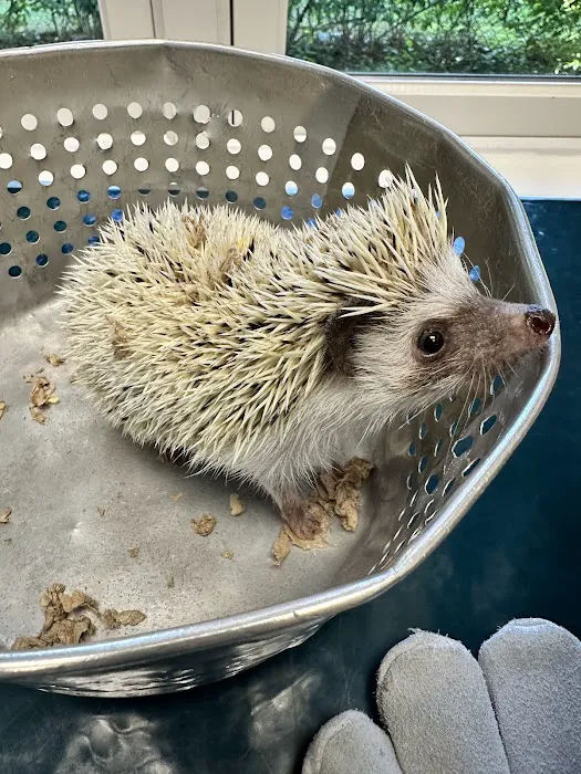 South Wilton Veterinary Group 12