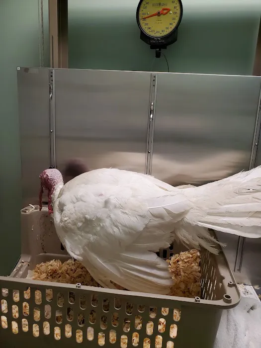 Hurley Veterinary Hospital 12