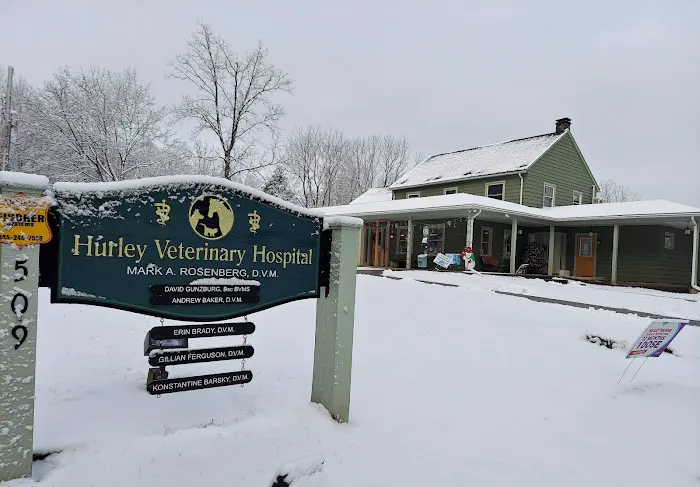 Hurley Veterinary Hospital 12