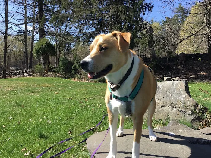 Hurley Veterinary Hospital 12