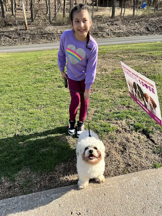Hurley Veterinary Hospital 12
