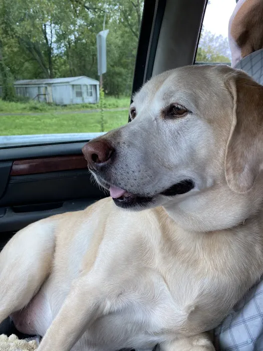 Hurley Veterinary Hospital 12