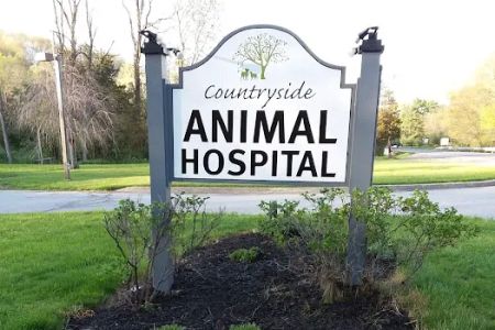 Countryside Animal Hospital