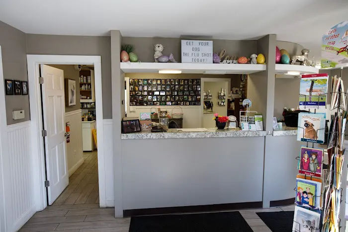 Kingston Animal Hospital 12