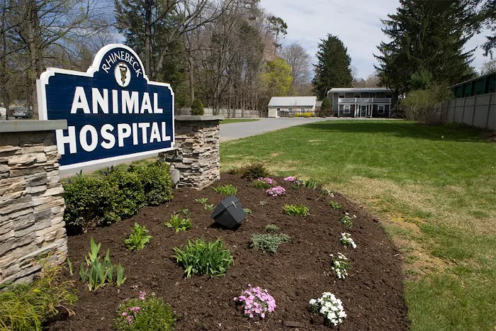 Rhinebeck Animal Hospital 12