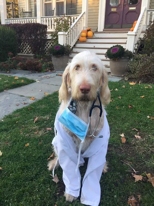 Rhinebeck Animal Hospital 12
